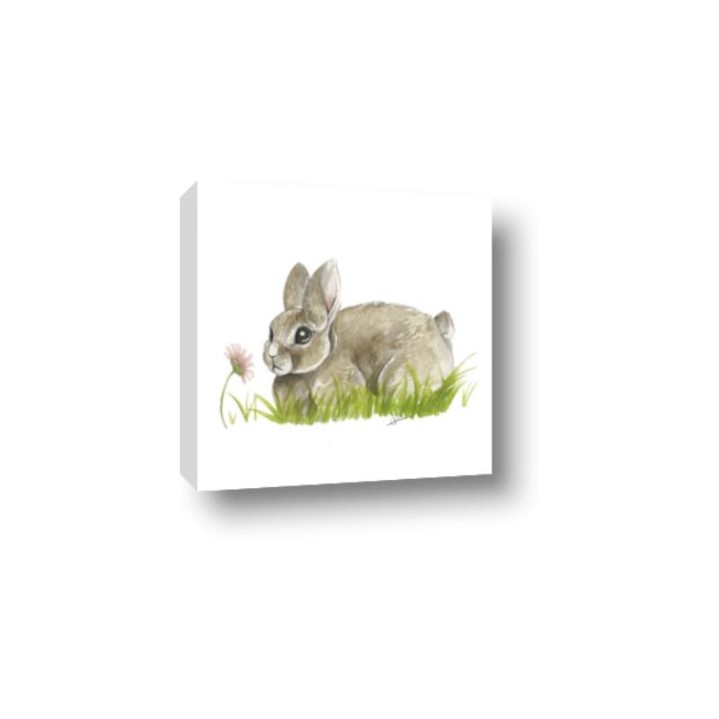 Picture of Bunny in grass _GroupedProduct_Square_Mini_ _GroupedProduct_Square_Canvas_