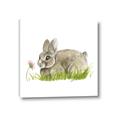 Picture of Bunny in grass _GroupedProduct_Square_Mini_ _GroupedProduct_Square_Canvas_
