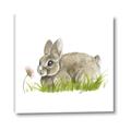 Picture of Bunny in grass _GroupedProduct_Square_Mini_ _GroupedProduct_Square_Canvas_