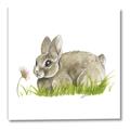 Picture of Bunny in grass _GroupedProduct_Square_Mini_ _GroupedProduct_Square_Canvas_