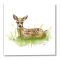 Picture of Deer in grass _GroupedProduct_Square_Mini_ _GroupedProduct_Square_Canvas_