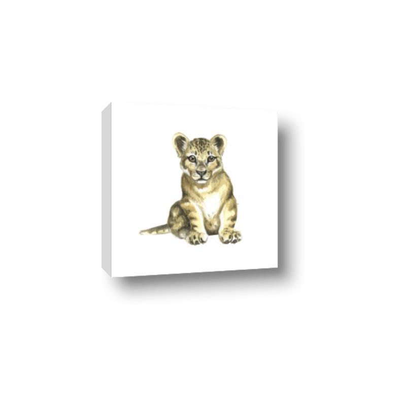 Picture of Little Lion _GroupedProduct_Square_Mini_ _GroupedProduct_Square_Canvas_