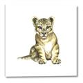Picture of Little Lion _GroupedProduct_Square_Mini_ _GroupedProduct_Square_Canvas_