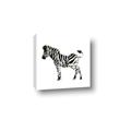 Picture of Little Zebra _GroupedProduct_Square_Mini_ _GroupedProduct_Square_Canvas_