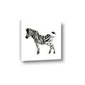 Picture of Little Zebra _GroupedProduct_Square_Mini_ _GroupedProduct_Square_Canvas_