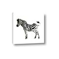 Picture of Little Zebra _GroupedProduct_Square_Mini_ _GroupedProduct_Square_Canvas_