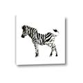 Picture of Little Zebra _GroupedProduct_Square_Mini_ _GroupedProduct_Square_Canvas_