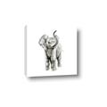 Picture of Little Elephant _GroupedProduct_Square_Mini_ _GroupedProduct_Square_Canvas_