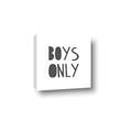 Picture of Boys Only  _GroupedProduct_Square_Mini_ _GroupedProduct_Square_Canvas_
