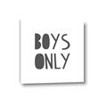 Picture of Boys Only  _GroupedProduct_Square_Mini_ _GroupedProduct_Square_Canvas_