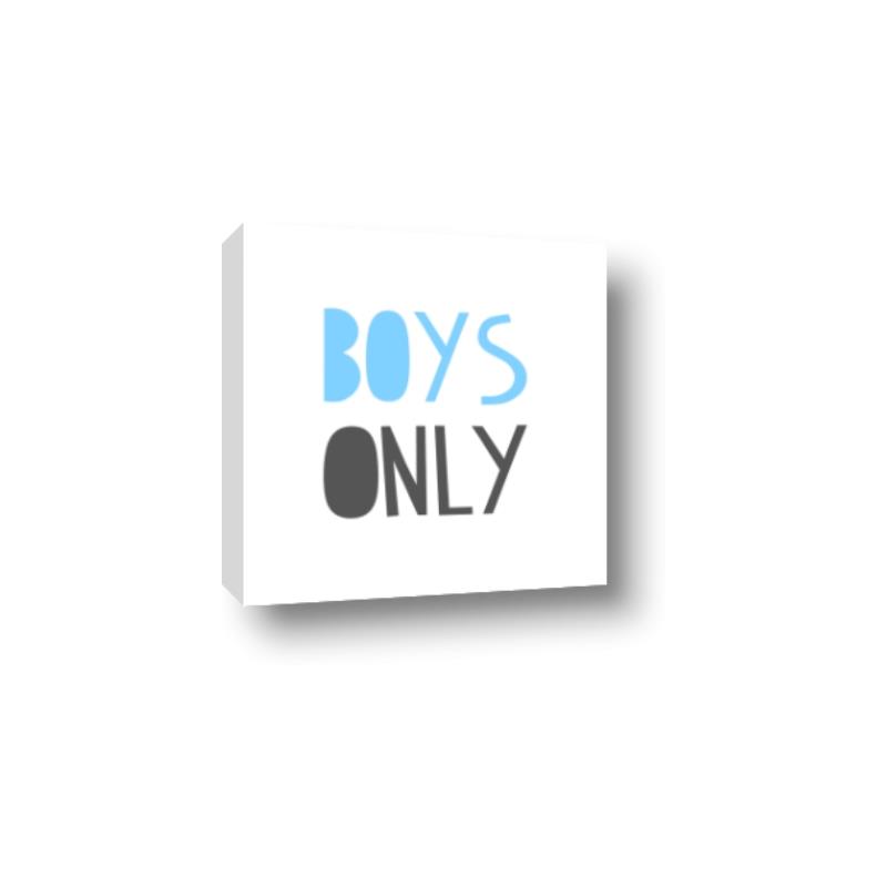 Picture of Boys Only Blue _GroupedProduct_Square_Mini_ _GroupedProduct_Square_Canvas_
