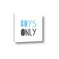 Picture of Boys Only Blue _GroupedProduct_Square_Mini_ _GroupedProduct_Square_Canvas_