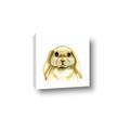 Picture of Woodland Bunny  _GroupedProduct_Square_Mini_ _GroupedProduct_Square_Canvas_