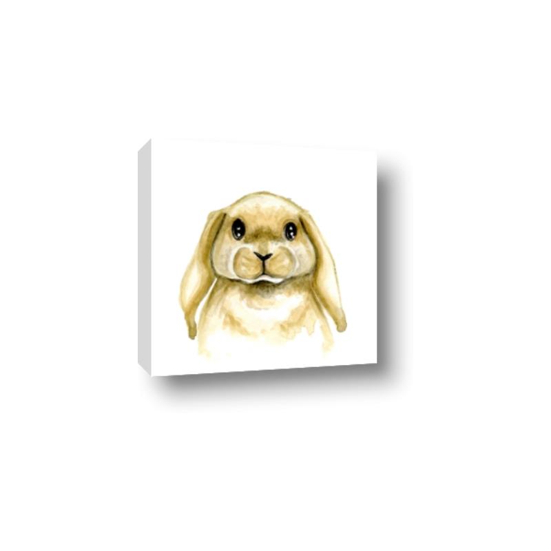 Picture of Woodland Bunny  _GroupedProduct_Square_Mini_ _GroupedProduct_Square_Canvas_