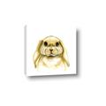 Picture of Woodland Bunny  _GroupedProduct_Square_Mini_ _GroupedProduct_Square_Canvas_