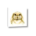 Picture of Woodland Bunny  _GroupedProduct_Square_Mini_ _GroupedProduct_Square_Canvas_