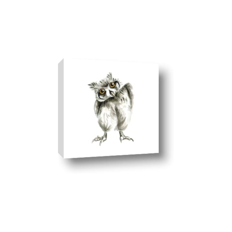 Picture of Woodland Owl _GroupedProduct_Square_Mini_ _GroupedProduct_Square_Canvas_