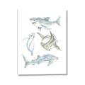 Picture of Sharks _GroupedProduct_Rectangle_Portrait_Mini_ _GroupedProduct_Rectangle_Portrait_Canvas_