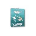 Picture of Sharks Chart _GroupedProduct_Rectangle_Portrait_Mini_ _GroupedProduct_Rectangle_Portrait_Canvas_