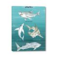 Picture of Sharks Chart _GroupedProduct_Rectangle_Portrait_Mini_ _GroupedProduct_Rectangle_Portrait_Canvas_
