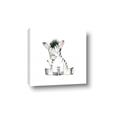 Picture of Baby Zebra _GroupedProduct_Square_Mini_ _GroupedProduct_Square_Canvas_