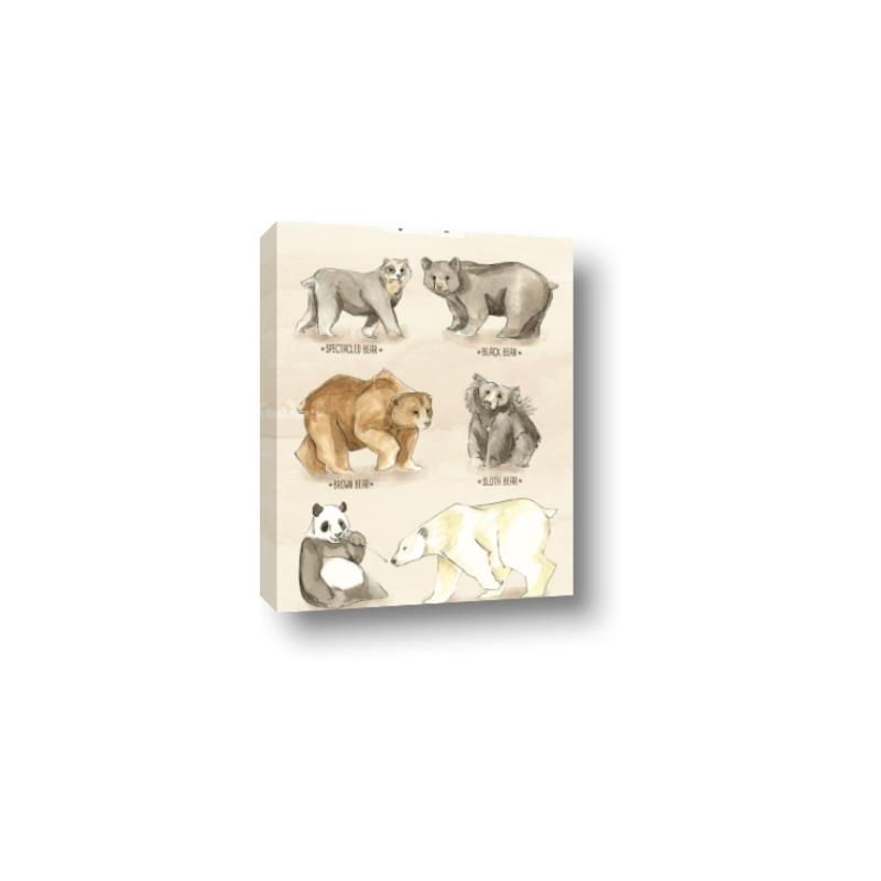 Picture of Bears Chart _GroupedProduct_Rectangle_Portrait_Mini_ _GroupedProduct_Rectangle_Portrait_Canvas_