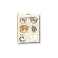 Picture of Bears Chart _GroupedProduct_Rectangle_Portrait_Mini_ _GroupedProduct_Rectangle_Portrait_Canvas_