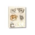 Picture of Bears Chart _GroupedProduct_Rectangle_Portrait_Mini_ _GroupedProduct_Rectangle_Portrait_Canvas_