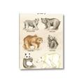 Picture of Bears Chart _GroupedProduct_Rectangle_Portrait_Mini_ _GroupedProduct_Rectangle_Portrait_Canvas_