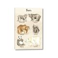 Picture of Bears Chart _GroupedProduct_Rectangle_Portrait_Mini_ _GroupedProduct_Rectangle_Portrait_Canvas_