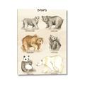 Picture of Bears Chart _GroupedProduct_Rectangle_Portrait_Mini_ _GroupedProduct_Rectangle_Portrait_Canvas_