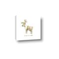 Picture of Wild little Caribou _GroupedProduct_Square_Mini_ _GroupedProduct_Square_Canvas_