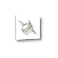 Picture of Hammerhead  _GroupedProduct_Square_Mini_ _GroupedProduct_Square_Canvas_