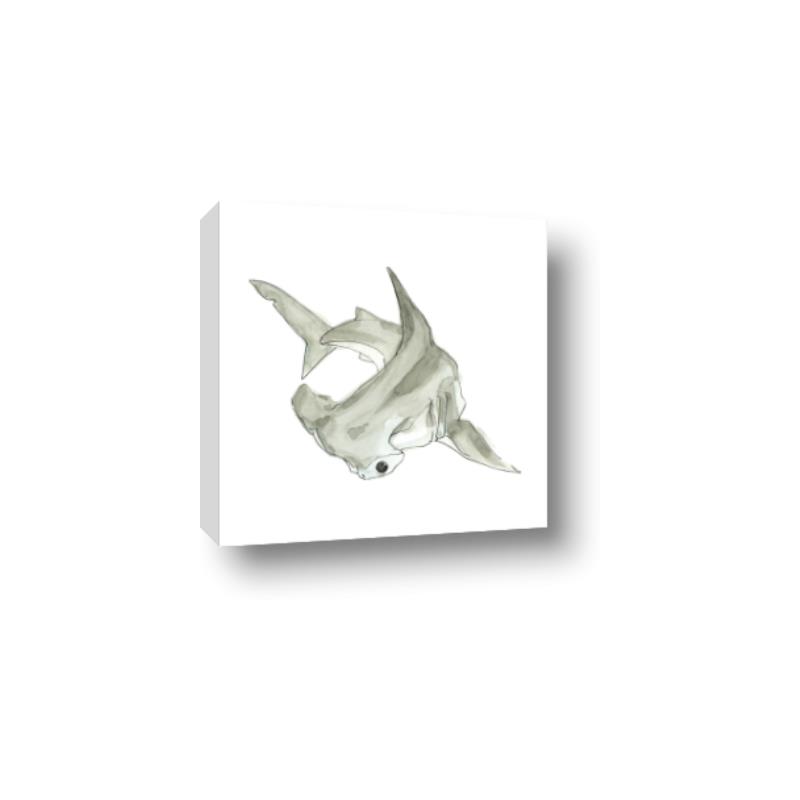 Picture of Hammerhead  _GroupedProduct_Square_Mini_ _GroupedProduct_Square_Canvas_