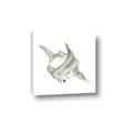 Picture of Hammerhead  _GroupedProduct_Square_Mini_ _GroupedProduct_Square_Canvas_