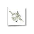 Picture of Hammerhead  _GroupedProduct_Square_Mini_ _GroupedProduct_Square_Canvas_