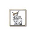 Picture of Baby Grey Bunny _GroupedProduct_Square_Mini_ _GroupedProduct_Square_Canvas_Framed_