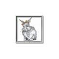 Picture of Baby Grey Bunny _GroupedProduct_Square_Mini_ _GroupedProduct_Square_Canvas_Framed_