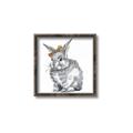 Picture of Baby Grey Bunny _GroupedProduct_Square_Mini_ _GroupedProduct_Square_Canvas_Framed_