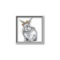 Picture of Baby Grey Bunny _GroupedProduct_Square_Mini_ _GroupedProduct_Square_Canvas_Framed_