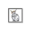 Picture of Baby Grey Bunny _GroupedProduct_Square_Mini_ _GroupedProduct_Square_Canvas_Framed_