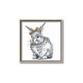 Picture of Baby Grey Bunny _GroupedProduct_Square_Mini_ _GroupedProduct_Square_Canvas_Framed_