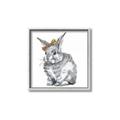Picture of Baby Grey Bunny _GroupedProduct_Square_Mini_ _GroupedProduct_Square_Canvas_Framed_