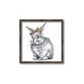 Picture of Baby Grey Bunny _GroupedProduct_Square_Mini_ _GroupedProduct_Square_Canvas_Framed_