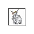 Picture of Baby Grey Bunny _GroupedProduct_Square_Mini_ _GroupedProduct_Square_Canvas_Framed_