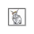 Picture of Baby Grey Bunny _GroupedProduct_Square_Mini_ _GroupedProduct_Square_Canvas_Framed_