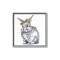 Picture of Baby Grey Bunny _GroupedProduct_Square_Mini_ _GroupedProduct_Square_Canvas_Framed_