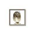 Picture of Princess Owl _GroupedProduct_Square_Mini_ _GroupedProduct_Square_Canvas_Framed_