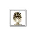 Picture of Princess Owl _GroupedProduct_Square_Mini_ _GroupedProduct_Square_Canvas_Framed_