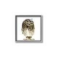 Picture of Princess Owl _GroupedProduct_Square_Mini_ _GroupedProduct_Square_Canvas_Framed_